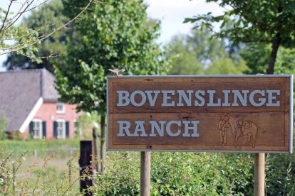 de bovenslinge